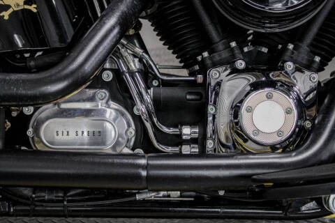 2010 Harley-Davidson Softail