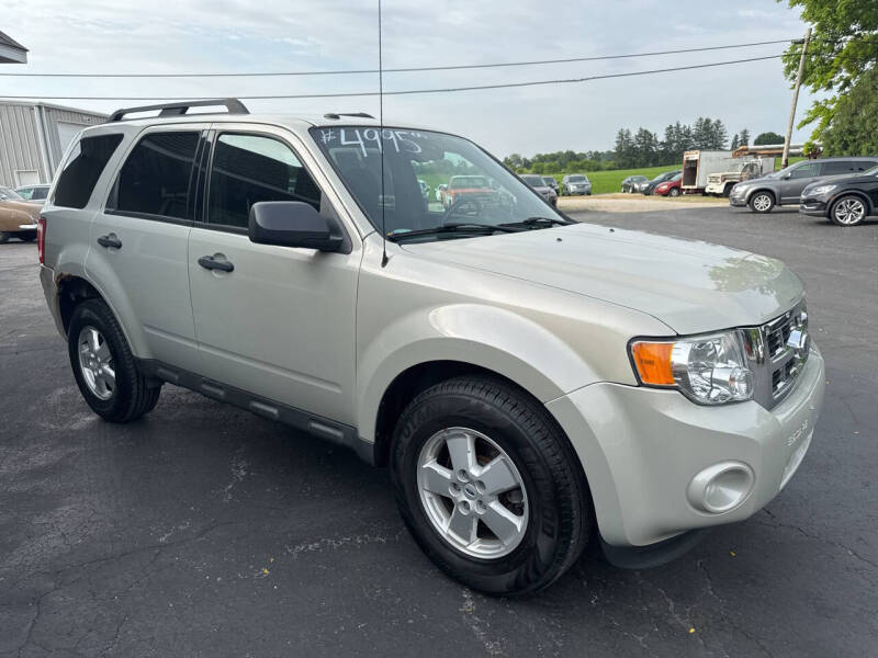 2009 Ford Escape XLT 2.5L 4WD's photo