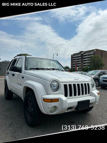 2003 Jeep Liberty for sale at BIG MIKE AUTO SALES LLC in Lincoln Park MI