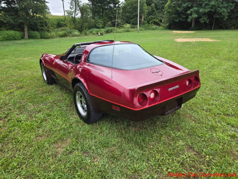1981 Chevrolet Corvette