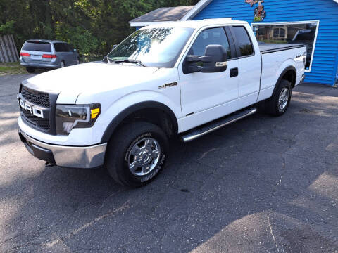 2013 Ford F-150 for sale at Michigan Auto Sales in Kalamazoo MI