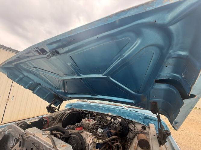 1979 Ford F-150