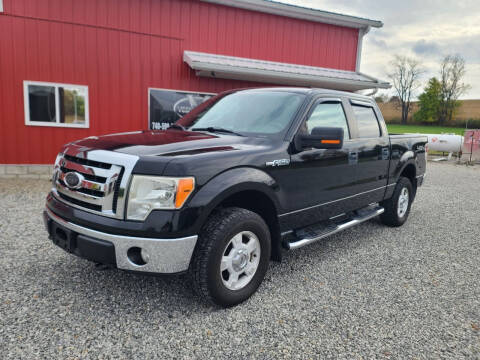 2009 Ford F-150 for sale at Vess Auto in Danville OH