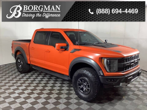 2021 Ford F-150 for sale at BORGMAN OF HOLLAND LLC in Holland MI