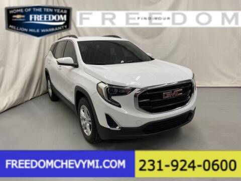 2018 GMC Terrain for sale at Freedom Chevrolet Inc in Fremont MI