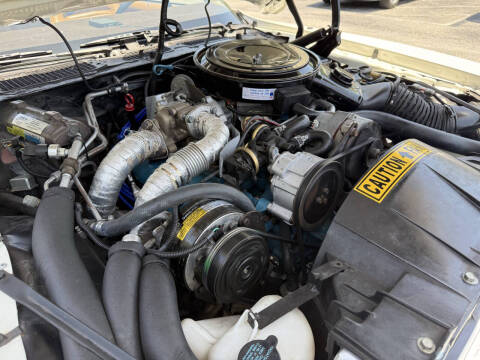 1981 Pontiac Firebird Trans Am