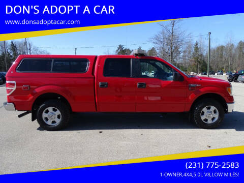 2013 Ford F-150 for sale at DON'S ADOPT A CAR in Cadillac MI
