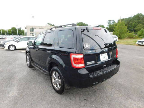 2010 Ford Escape XLT