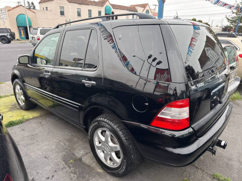 2003 Mercedes-Benz M-Class ML 500