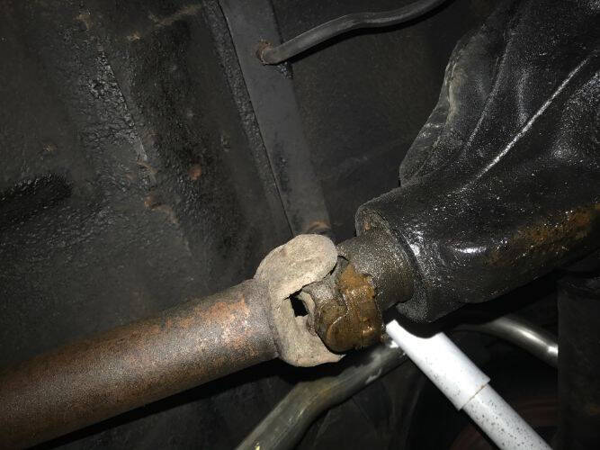 1955 Ford Thunderbird