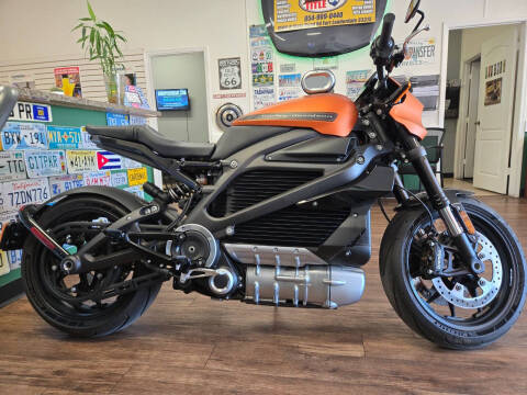 2022 Harley-Davidson LIVE WIRE 1