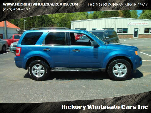 2009 Ford Escape for sale at Hickory Wholesale Cars Inc in Newton NC