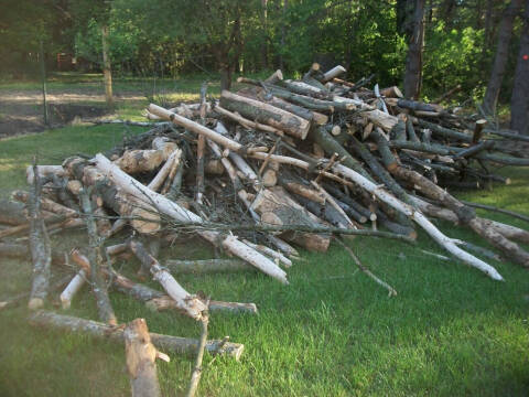  FIRE WOOD FIRE WOOD for sale at Zimmerman Truck in Zimmerman MN