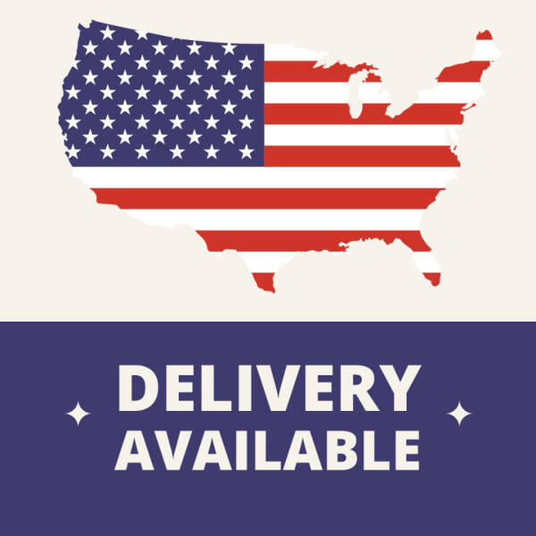 2014 Chevrolet Express 2500 Cargo Van