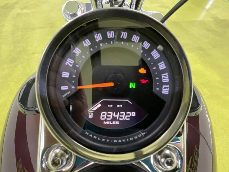 2019 Harley-Davidson Softail