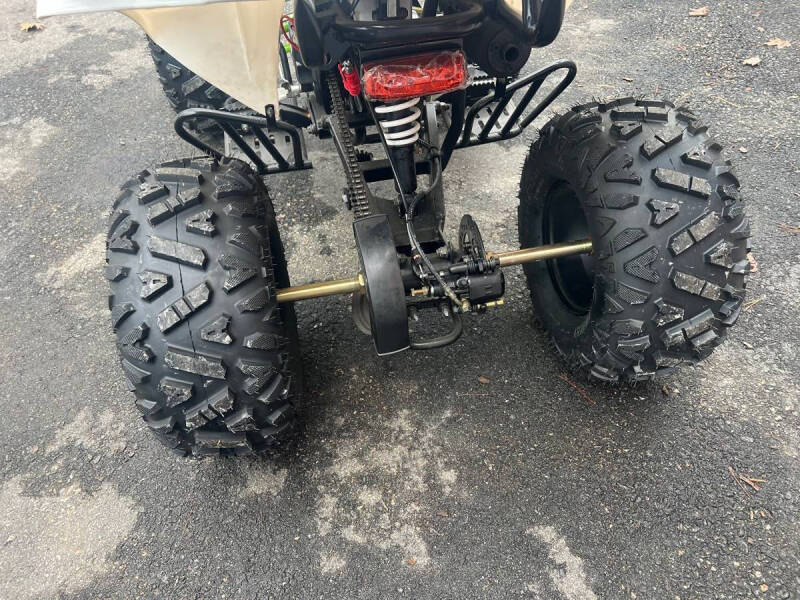 2021 Vitacci Pro Max 125