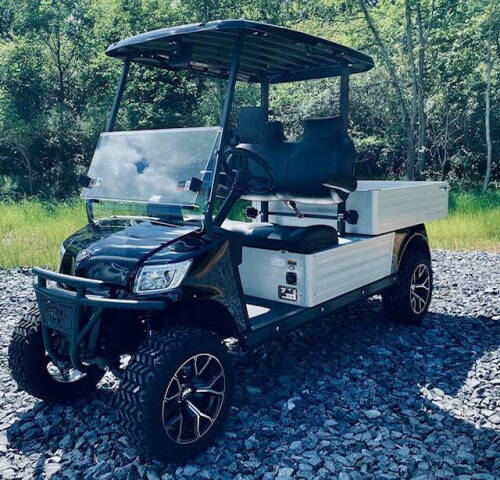 Royal EV Ambassador Utility Golf Cart Image