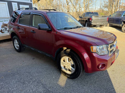 2009 Ford Escape XLT