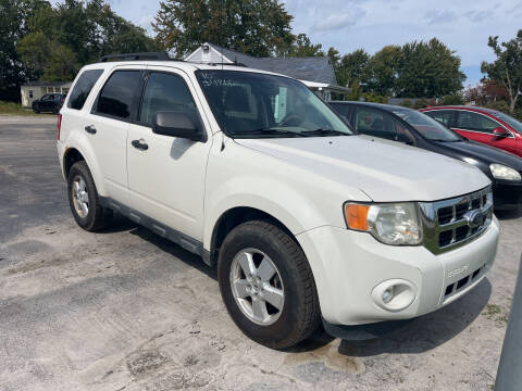 2010 Ford Escape for sale at HEDGES USED CARS in Carleton MI