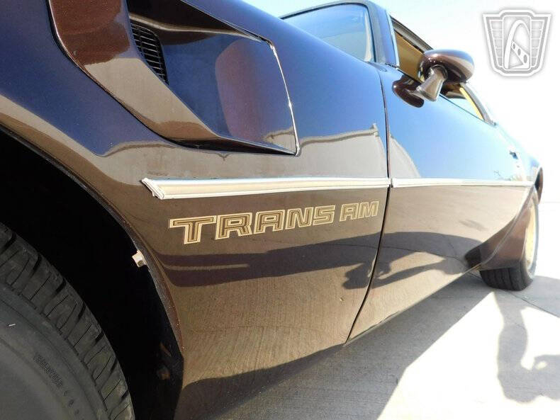 1981 Pontiac Firebird Trans Am