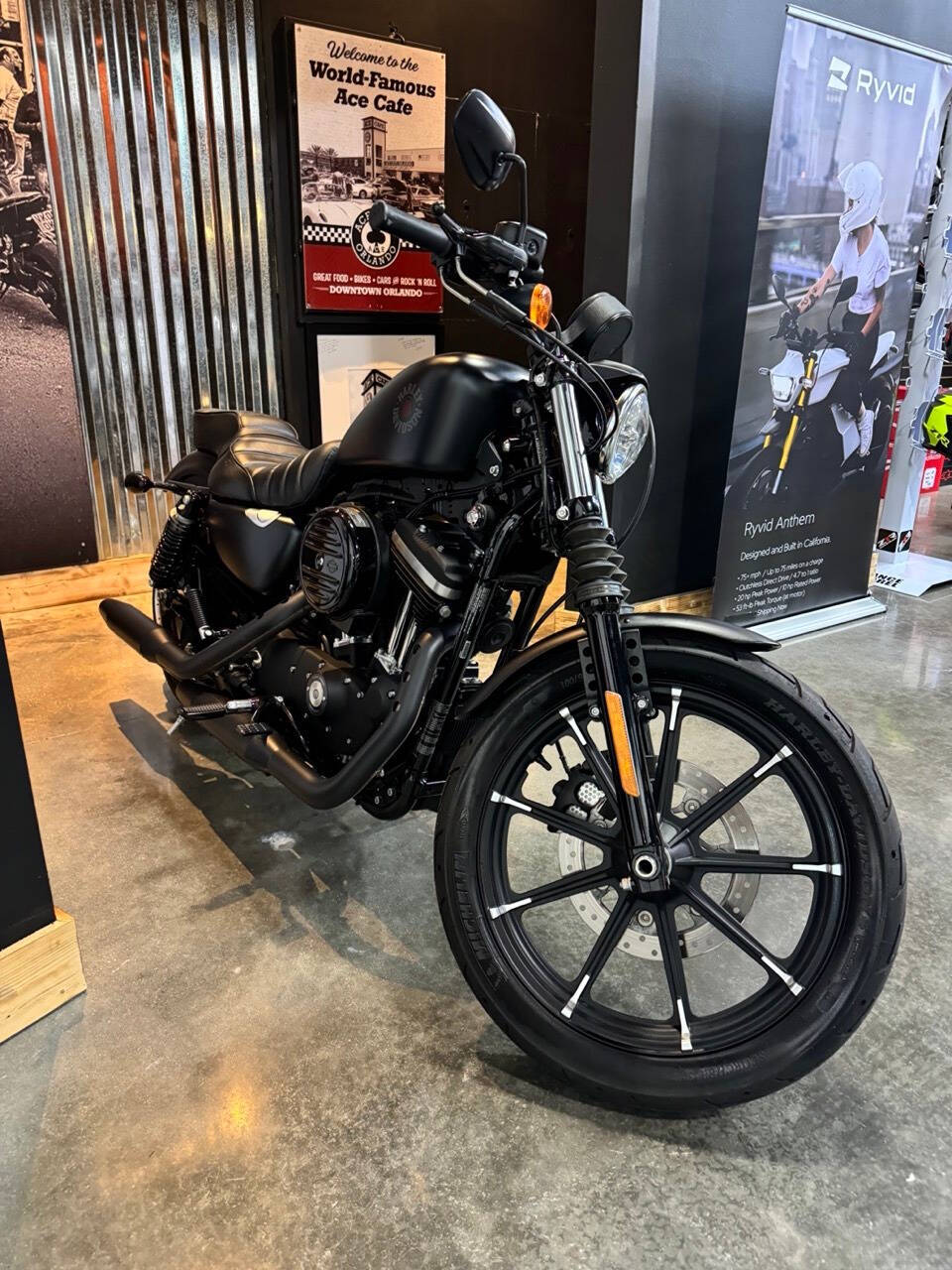 2022 Harley-Davidson XL 883 Sportster for sale at TEXAS MOTORS POWERSPORT in ORLANDO, FL