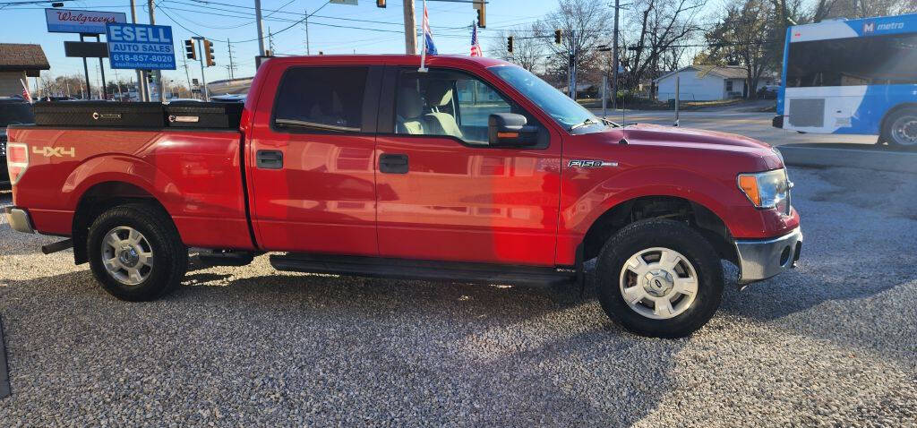 2013 Ford F-150 for sale at ESELL AUTO SALES in Cahokia, IL