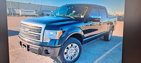 2010 Ford F-150 for sale at ARK AUTO LLC in Roanoke IL