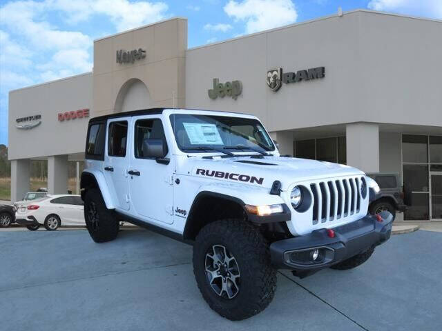 2023 Jeep Wrangler for sale at Hayes Chrysler Dodge Jeep of Baldwin in Alto GA