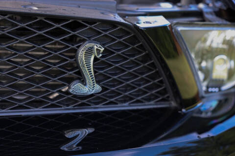 2009 Ford Shelby GT500