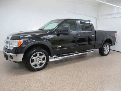 2014 Ford F-150 for sale at HTS Auto Sales in Hudsonville MI