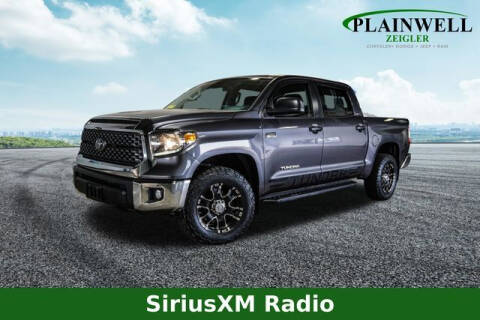 2020 Toyota Tundra for sale at Zeigler Ford of Plainwell- Jeff Bishop in Plainwell MI