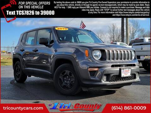 2019 Jeep Renegade for sale at Tri-County Pre-Owned Superstore in Reynoldsburg OH