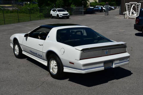 1984 Pontiac Firebird Trans Am