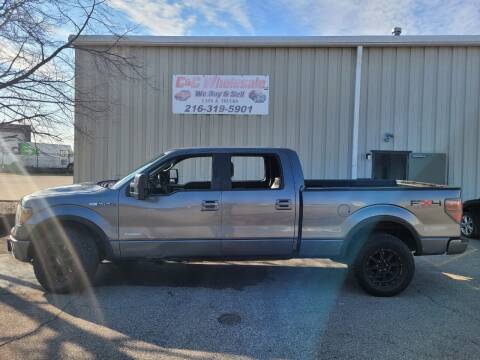 2011 Ford F-150 for sale at C & C Wholesale in Cleveland OH