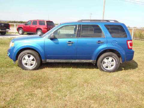 2011 Ford Escape XLT