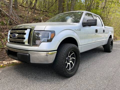 2010 Ford F-150 for sale at Lenoir Auto in Lenoir NC