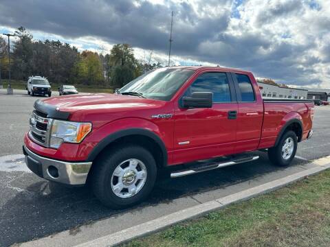 2013 Ford F-150 for sale at Blake Hollenbeck Auto Sales in Greenville MI