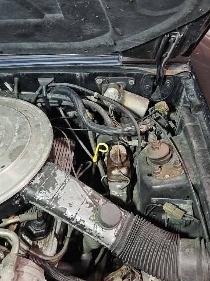 1985 Ford Mustang