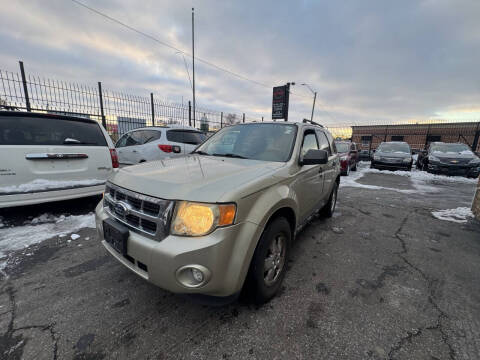 2011 Ford Escape XLT