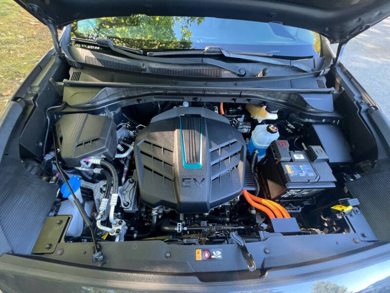 2019 Kia Niro EV EX Premium