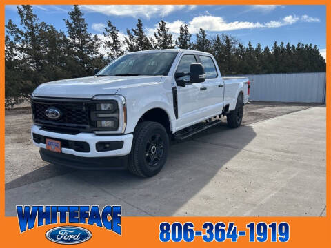 2025 Ford F-250 Super Duty for sale at Whiteface Ford in Hereford TX
