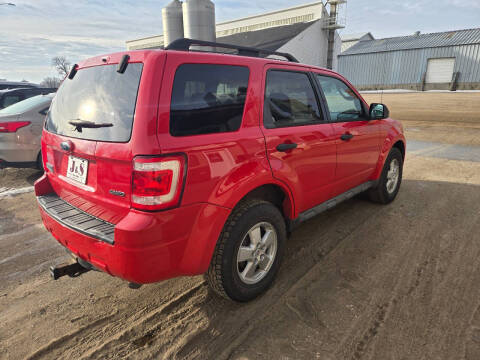 2009 Ford Escape XLT