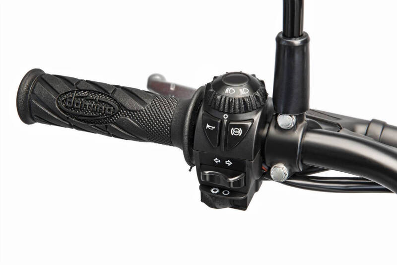 2026 Beta 350 Alp 4.0