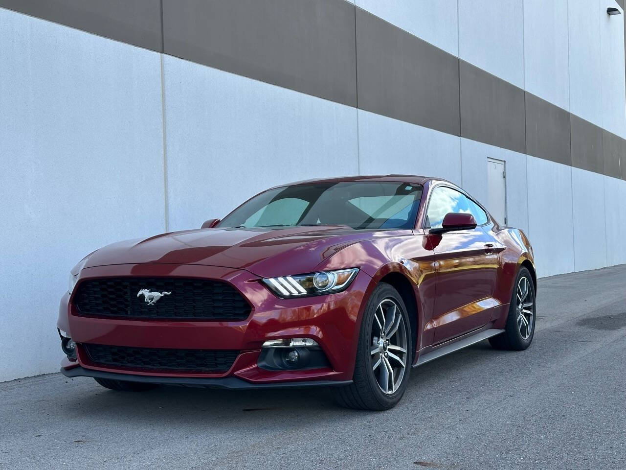 2016 Ford Mustang for sale at Phoenix Motor Co in Romulus, MI