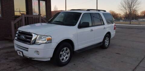 2009 Ford Expedition for sale at CARS4LESS AUTO SALES in Lincoln NE
