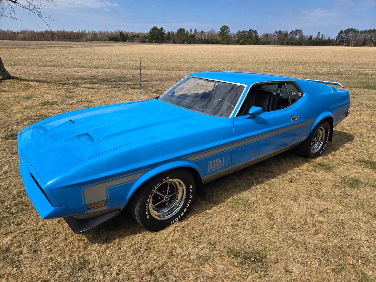 1971 Ford Mustang 12