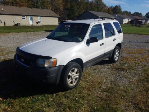 2004 Ford Escape for sale at David Shiveley in Mount Orab OH