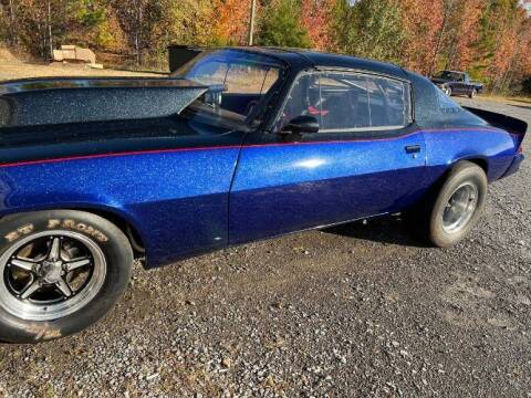 1980 Chevrolet Camaro for sale at Classic Car Deals in Cadillac MI