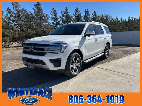 2024 Ford Expedition for sale at Whiteface Ford in Hereford TX