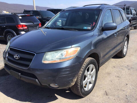 2009 Hyundai Santa Fe for sale at Troy's Auto Sales in Dornsife PA